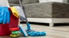 Profesionalna obrada stanova od buve